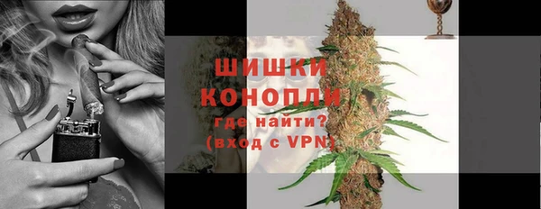 apvp Новозыбков