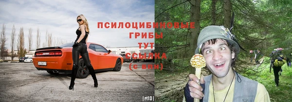 apvp Новозыбков