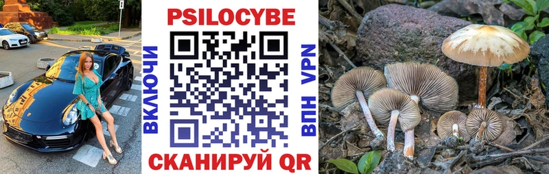 ОМГ ОМГ ссылки  Рассказово  Псилоцибиновые грибы Magic Shrooms 